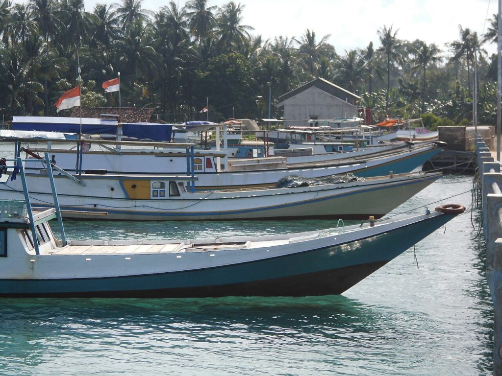 Fully Guided, All-Inclusive Trips