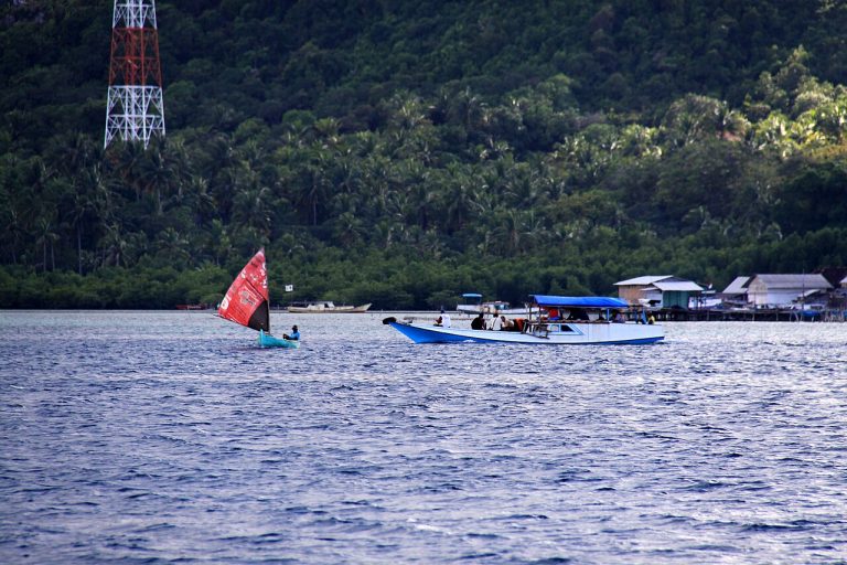 Little Island, a small coral-fringed island near Karimunjawa popular for snorkeling